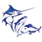 Loyalty App for Tauranga Sports Fishing Club