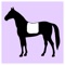 DressMyHorse is a fun, free app that lets you 'virtually' try products on your horse or pony