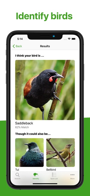 Bird Nerd NZ(圖4)-速報App