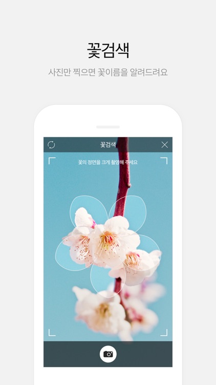 다음 - Daum screenshot-3