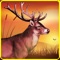 “Deer Sniper Hunting Games 20” is one of the best hunting simulation game having thrilling gameplay