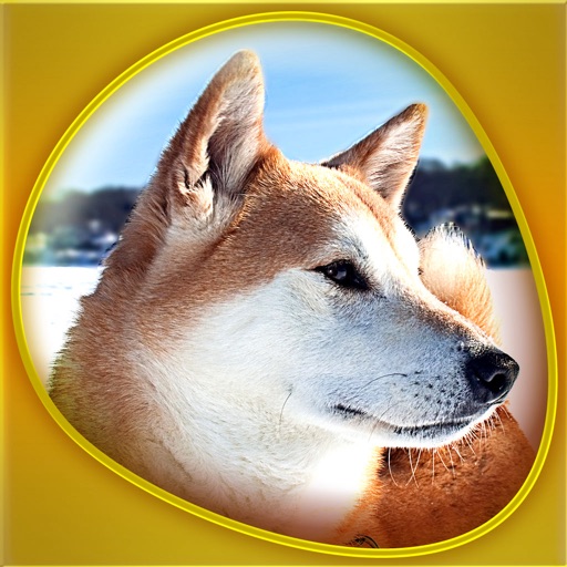 The Dog Show Gold icon
