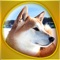 Man best friends and much more: many high-definition pictures, tour on set about puppies, sounds, recognition quizzes and puzzles in different difficulty levels