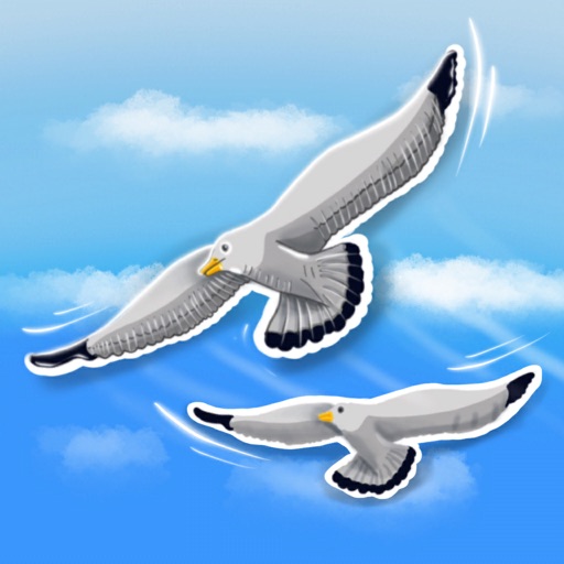 Bird Flight 3D icon