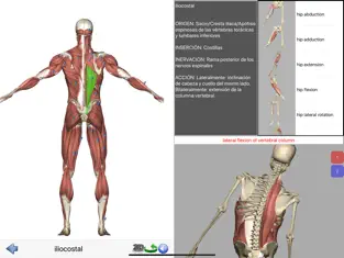Captura de Pantalla 4 Visual Anatomy Lite iphone