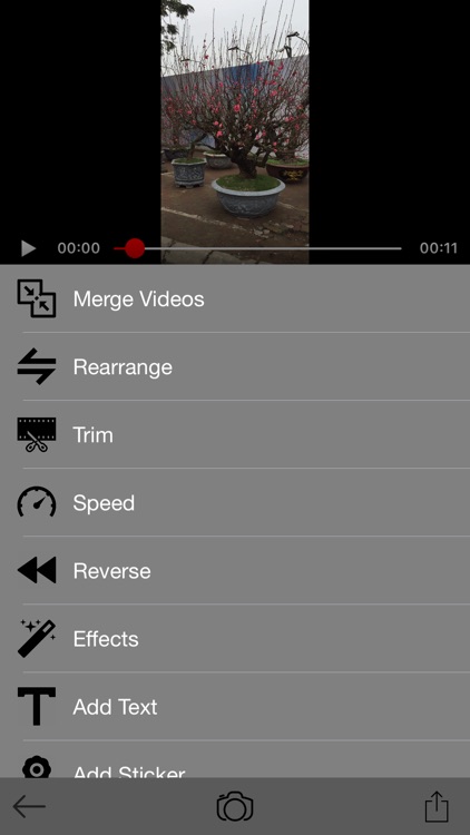 Text and Logo for Video Editor