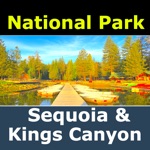Sequoia  Kings Canyon N Parks
