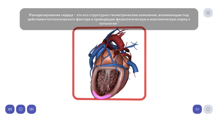 AR Cardio для визитов SF