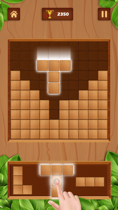 Block Puzzle - New Brain Games screenshot 2