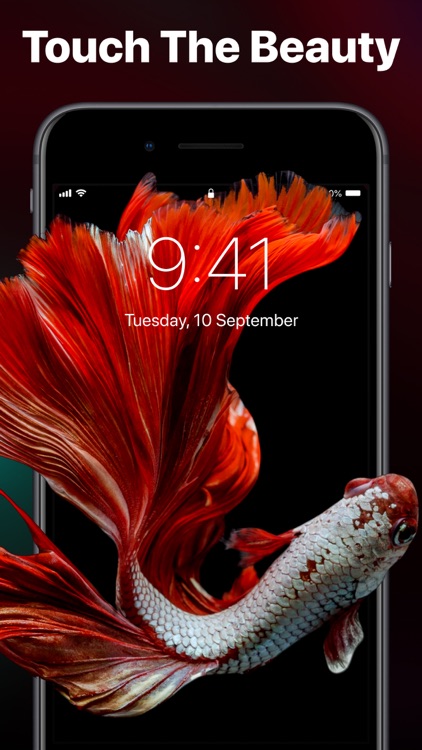 Live Wallpaper Launcher 4K