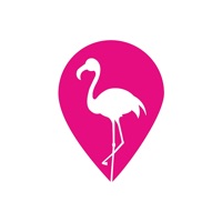 Flamingo Provider app funktioniert nicht? Probleme und Störung