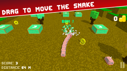 Snake Road 3D: Hit Color Block screenshot 2