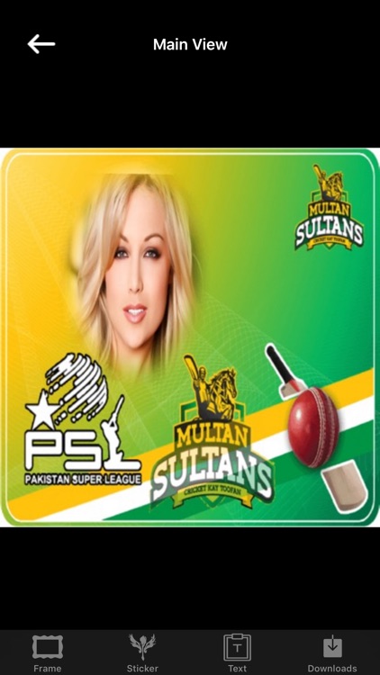 PSL 4 Photo Editor 2019