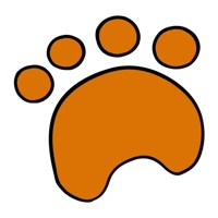 Рыжий кот Оренбург pour PC