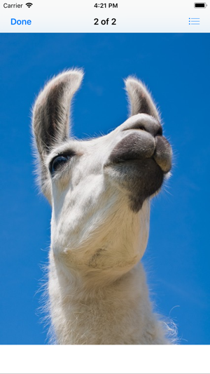 Llama Photography(圖5)-速報App