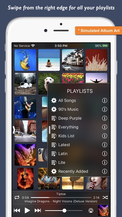 Music Player - Platinum Album screenshot-4