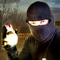 Lets start your real Thief journey