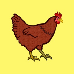 My Chicken Stickers