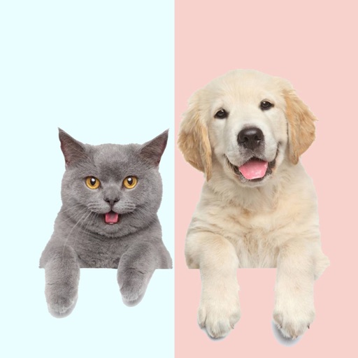 Pet translator - Cat&Dog iOS App
