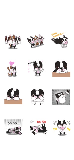 Animated Boston Terrier 1(圖5)-速報App