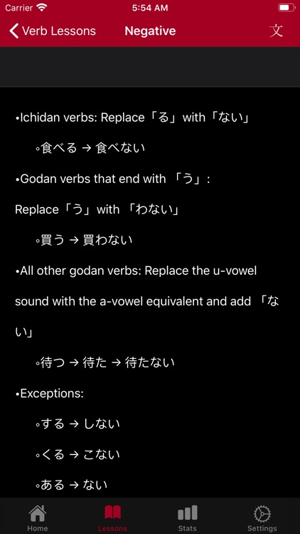Japanese Conjugation City screenshot-8
