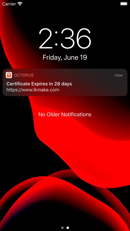Octopus mini screenshot-4
