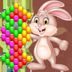Activities of Bunny Hexa Puzzle
