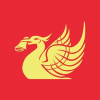 LFC Echo на пк