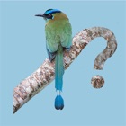 Top 36 Reference Apps Like Panama Birds Field Guide - Best Alternatives