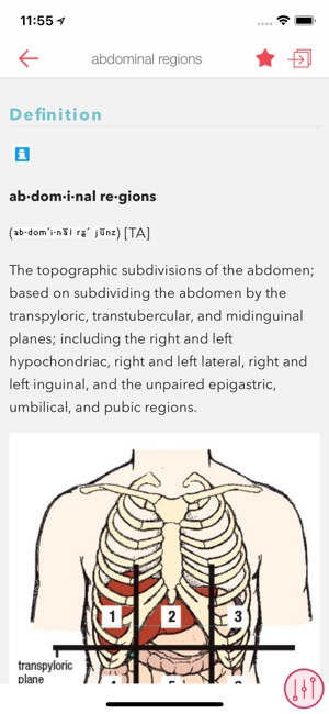 Stedman's Medical Dictionary N(圖3)-速報App