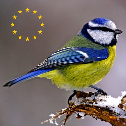 Ecoguide - Birds of Europe Download