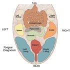 Tongue Diagnosis