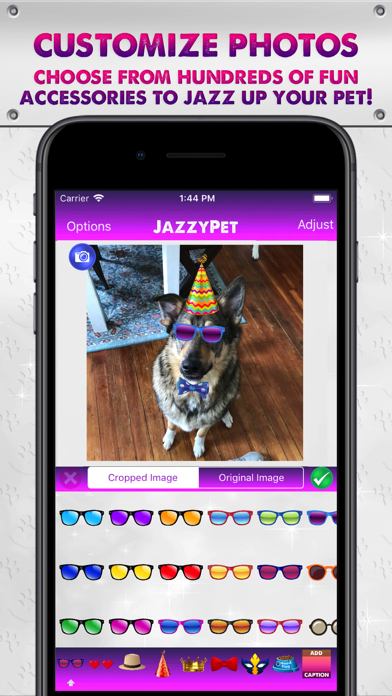 JazzyPet screenshot 2