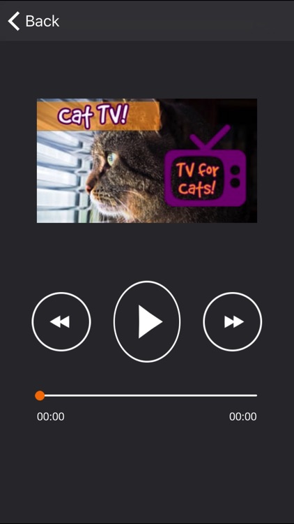 RelaxMyCat - Relaxing Music TV