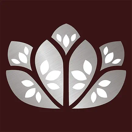 Allure Beauty Lounge Читы