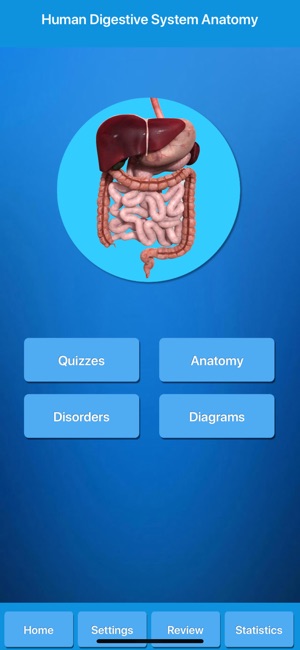 Human Digestive System Anatomy(圖1)-速報App