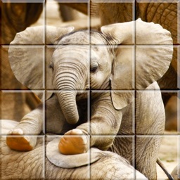 Tile Puzzle Baby Animals