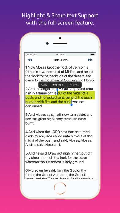 KJV King James Bible Offline screenshot 3