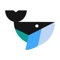 Avatan is a social photo editor
