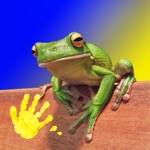 Play  Learn Animal Flashcards