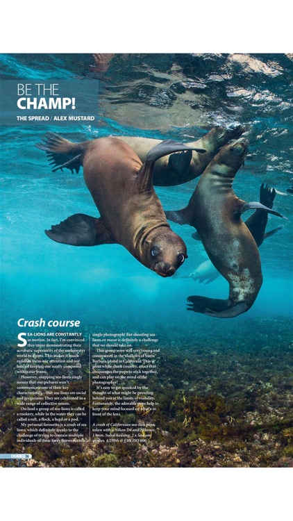 DIVER MAGAZINE screenshot-3