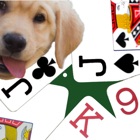 Top 20 Games Apps Like K9 Euchre - Best Alternatives