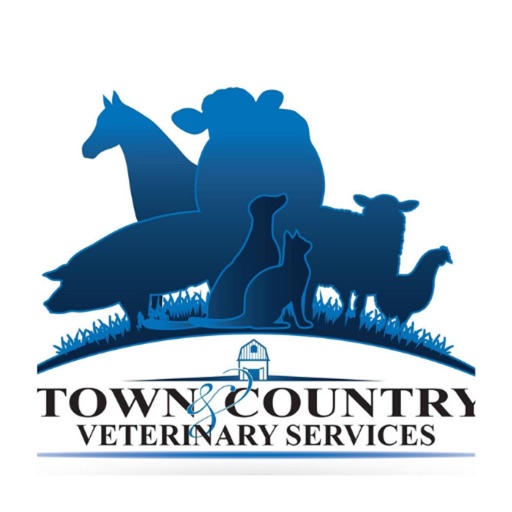 Town & Country Vet Montrose