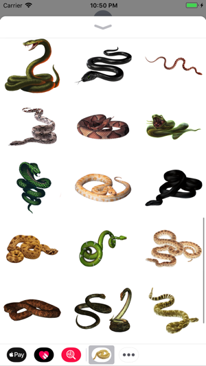 Snakes Stickers(圖2)-速報App