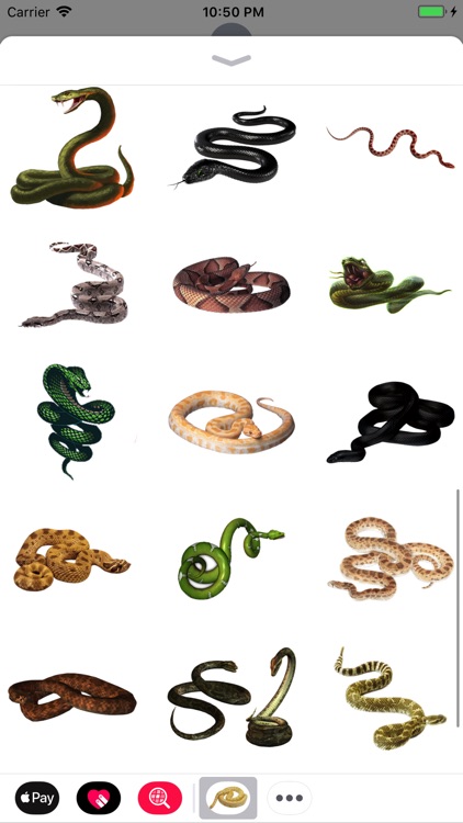 Snakes Stickers