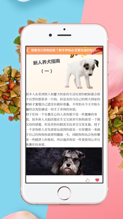 666專家Professional dog care screenshot-4