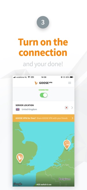 GOOSE VPN(圖4)-速報App