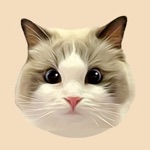 Money Ragdoll Stickers