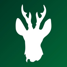 Roebuck Calls for Roe Deer
