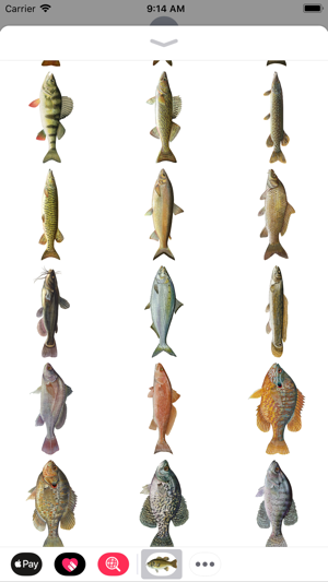 Fish Stickers(圖4)-速報App